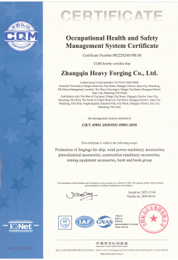 Certificato di certificazione del sistema di gestione della salute e sicurezza sul lavoro ISO450012018