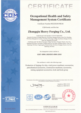ISO450012018 Occupational Health and Safety Management System Certification Certificate
